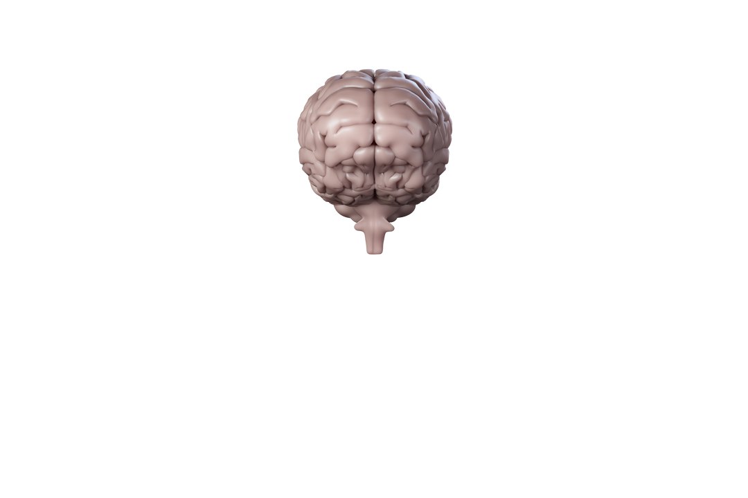 Digital Pink Human Brain Illustration on Transparent Background - Download Free Stock Images Pikwizard.com