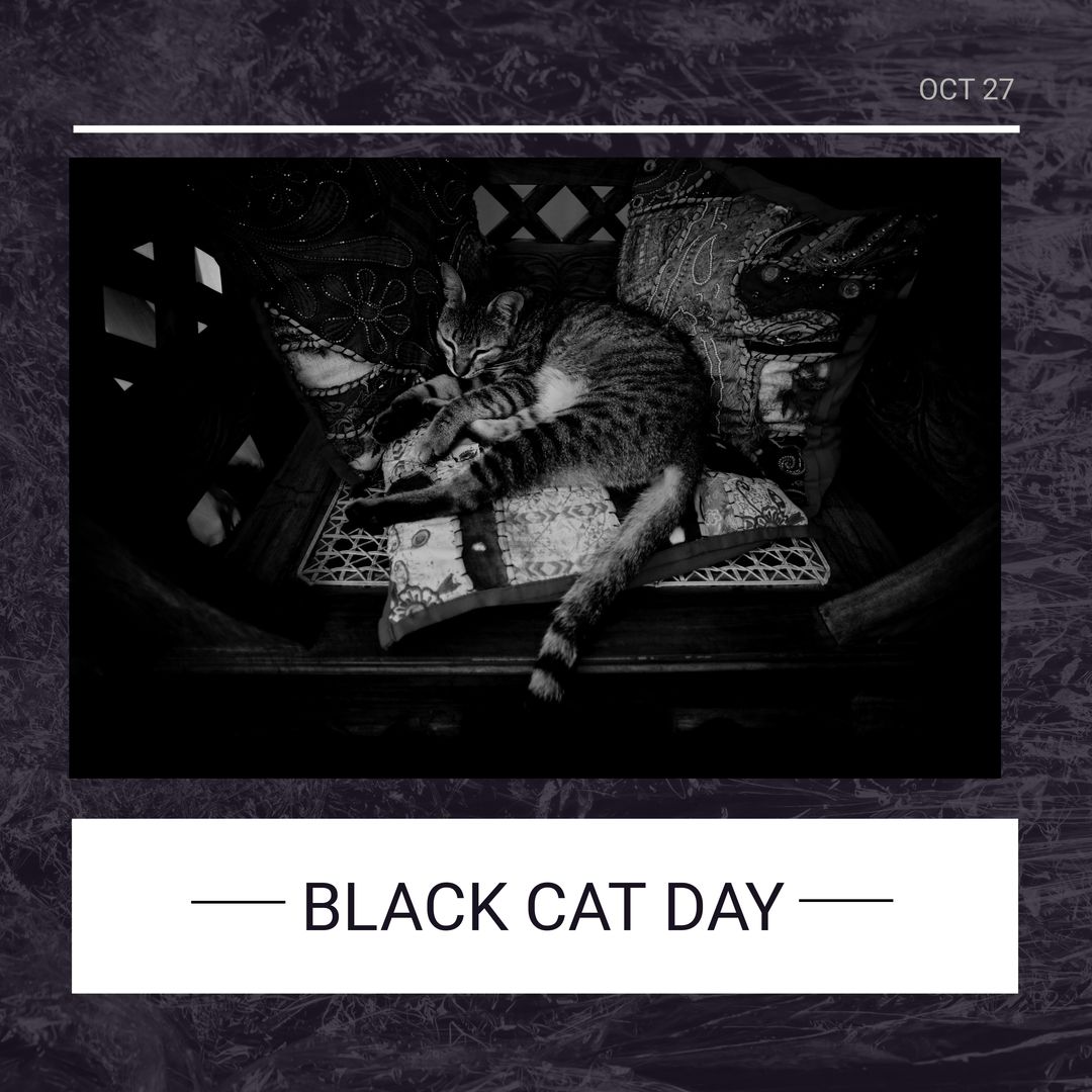 Composition of black cat day text over black and white cat lying - Download Free Stock Templates Pikwizard.com