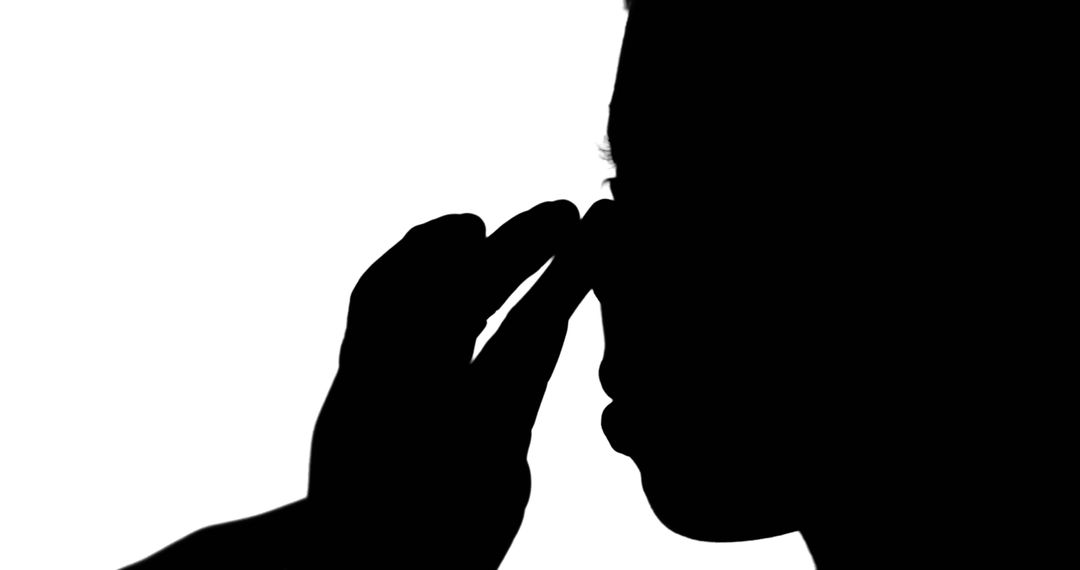 Silhouette of Makeup Artist Perfecting Model's Look on White Background