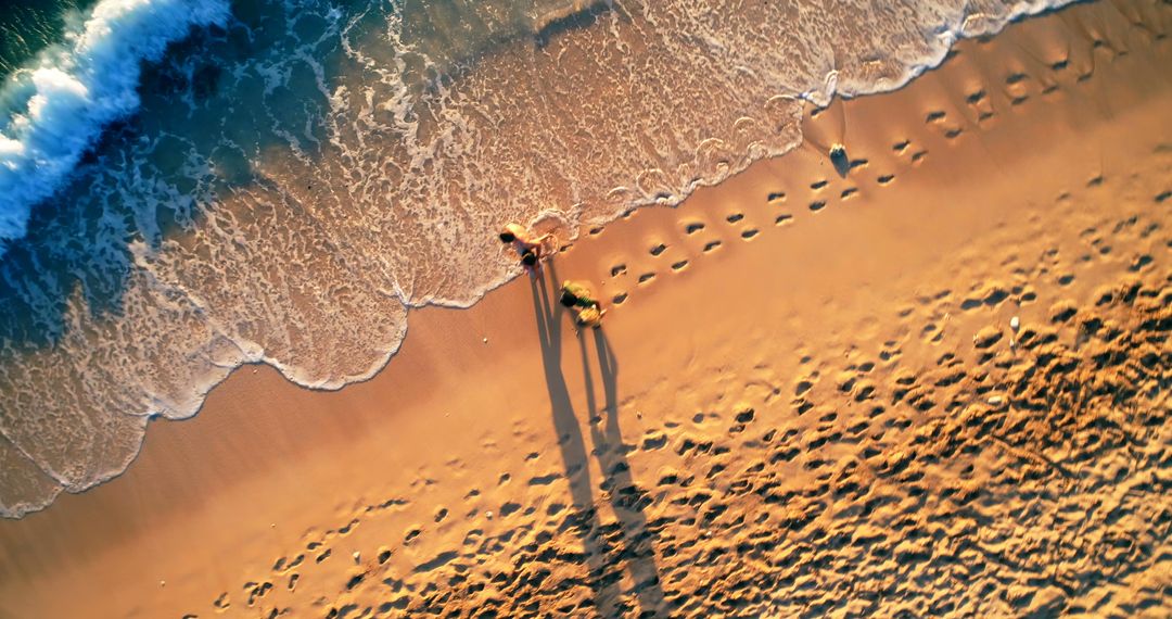 Aerial View of Person and Dog Walking on Sandy Beach - Free Images, Stock Photos and Pictures on Pikwizard.com