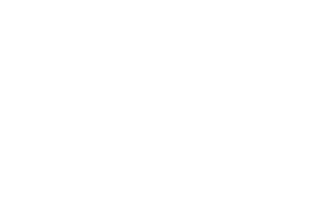 Transparent Silhouette of Athlete Lifting Barbell Outdoors - Download Free Stock Images Pikwizard.com