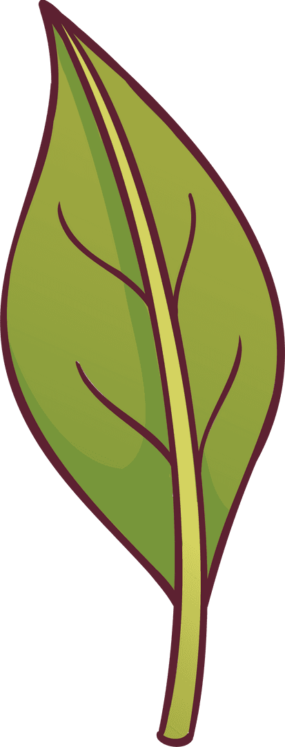 Vector Leaf Illustration on Transparent Surroundings with Maroon Edge