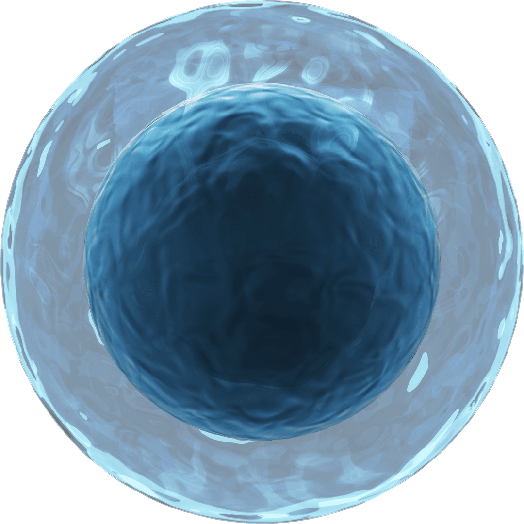 Transparent 3D Lymphocyte Cell with Blue Membrane Rendered