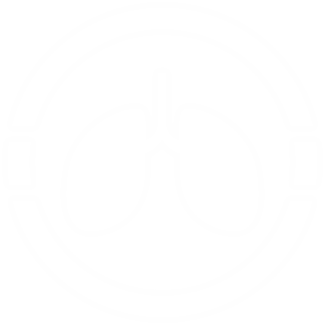 Transparent Outline of Human Lungs Icon in Circular Frame