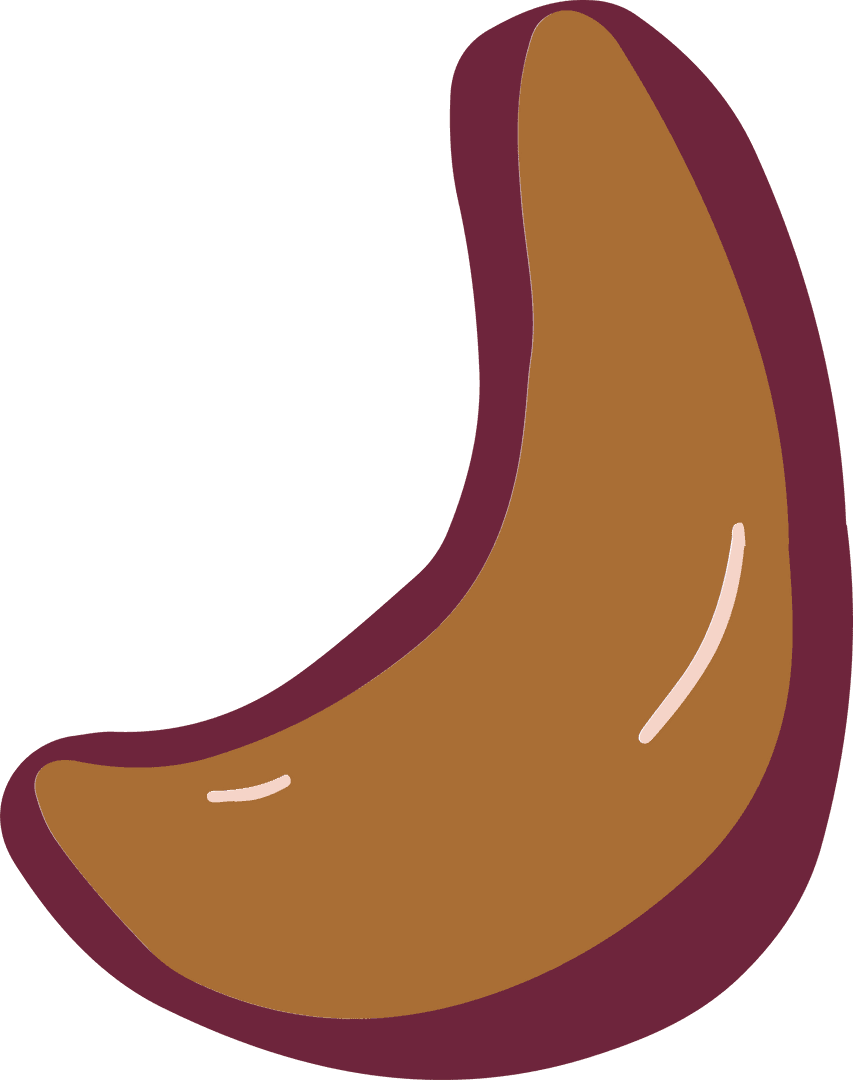 Abstract Boomerang Illustration with Transparent Background