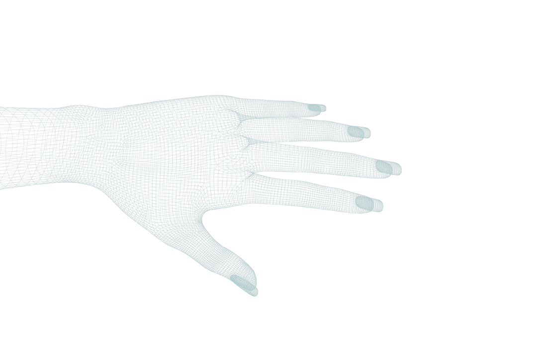 3D Transparent Wireframe Hand in Detailed Pose