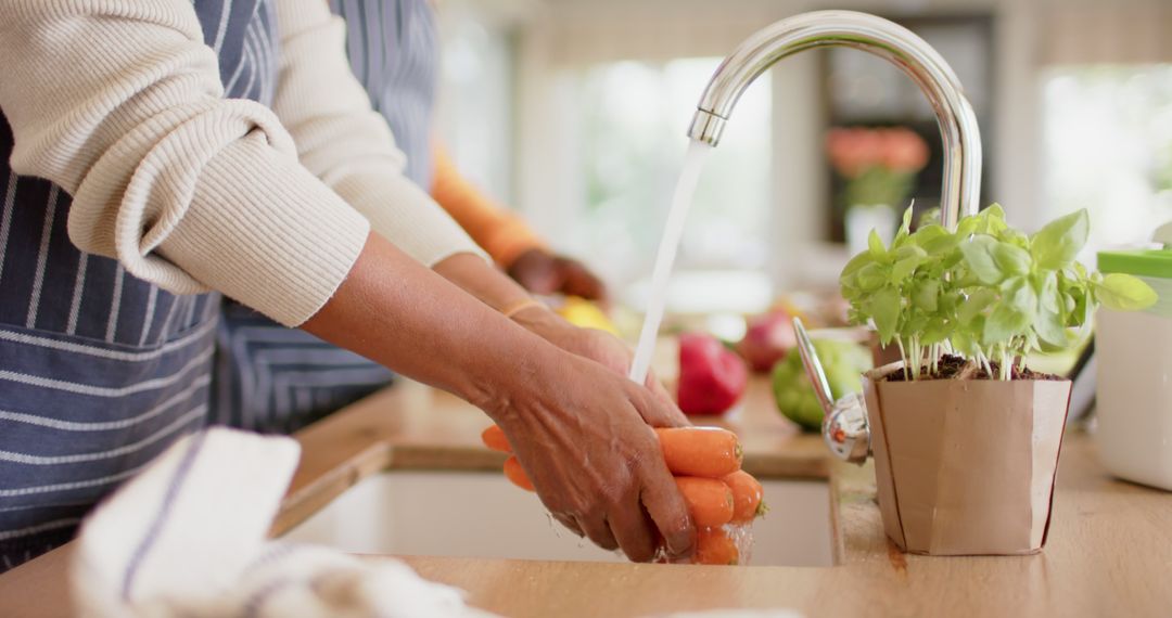 Person Washing Fresh Carrots in Kitchen Sink - Free Images, Stock Photos and Pictures on Pikwizard.com