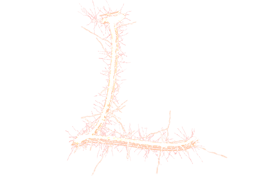 Transparent Digital Glowing Letter L Illustration with Vector Design