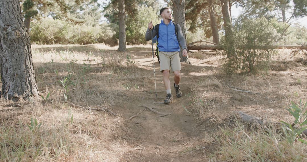 Biracial man hiking with backpack in sunny forest - Free Images, Stock Photos and Pictures on Pikwizard.com