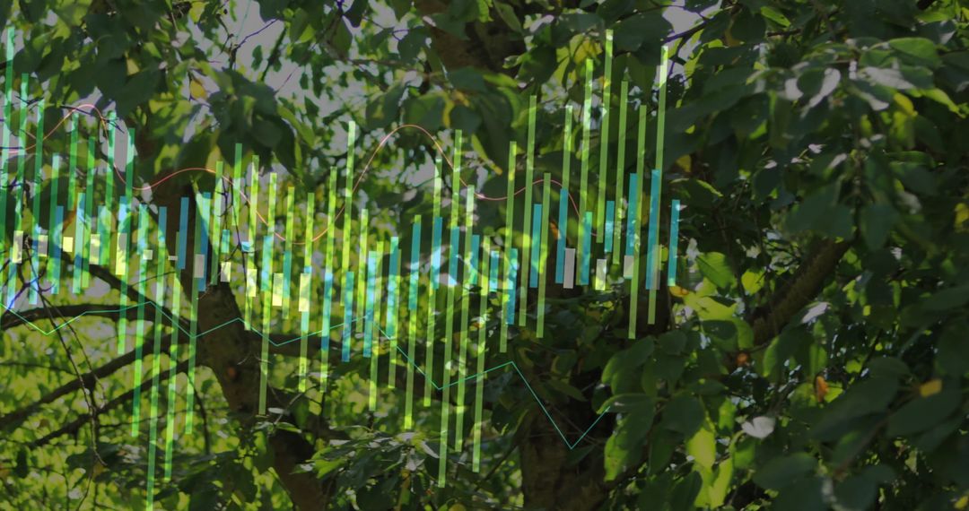 Data Visualization Algorithms Overlaid on Vibrant Natural Foliage