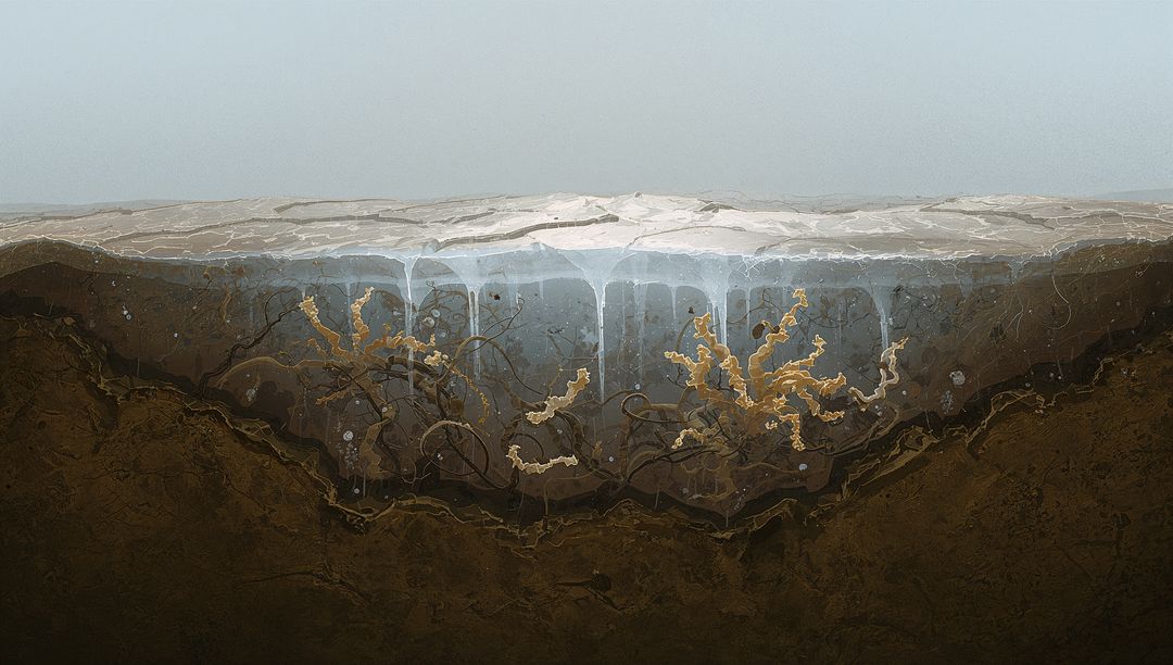 Permafrost Cross-Section Revealing Dripping Icicles and Golden Filaments