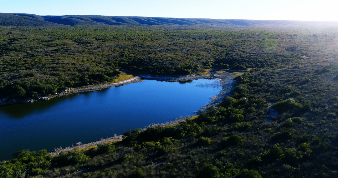 Pristine Lake with Minimalist Transparent Reflections at Sunset