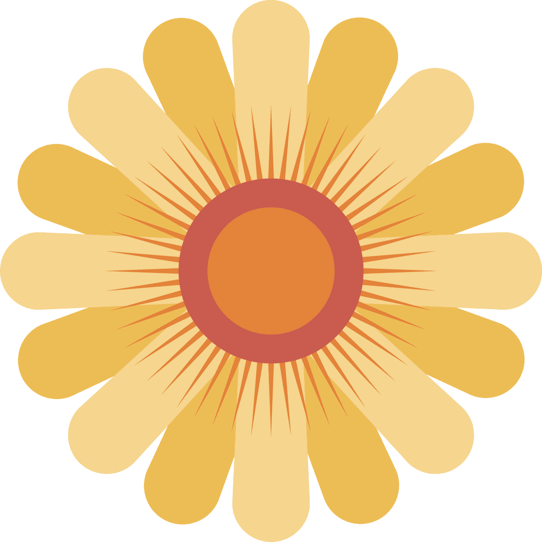 Abstract Solar Flower in Flat Art on Transparent Canvas