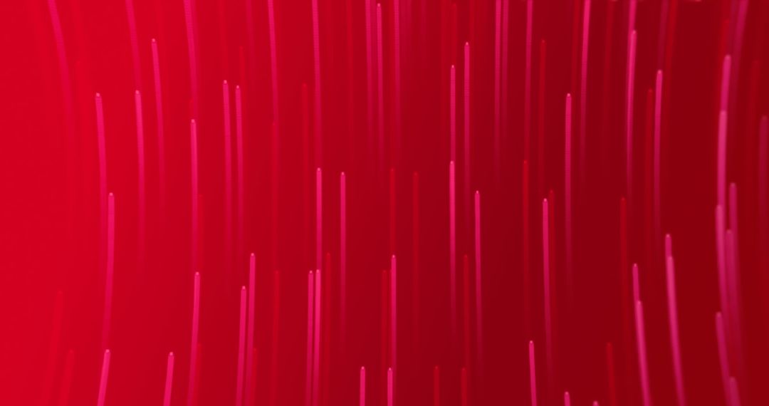 Dynamic Pink Light Trails on Vibrant Red Background