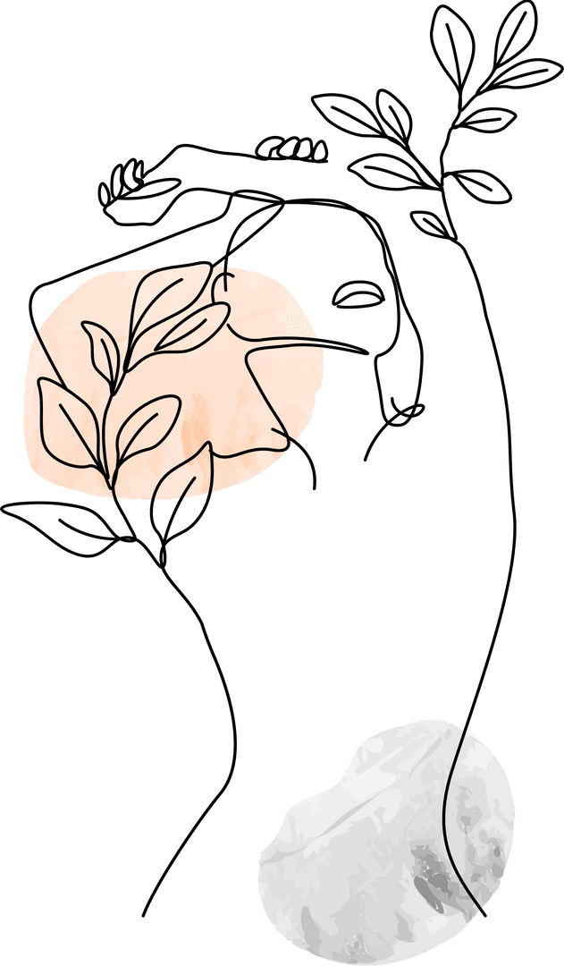 Transparent Abstract Botanical Line Art with Organic Shapes