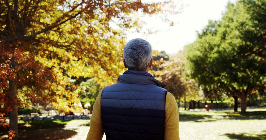 Rear View of Senior Man Walking in Autumn Park - Free Images, Stock Photos and Pictures on Pikwizard.com