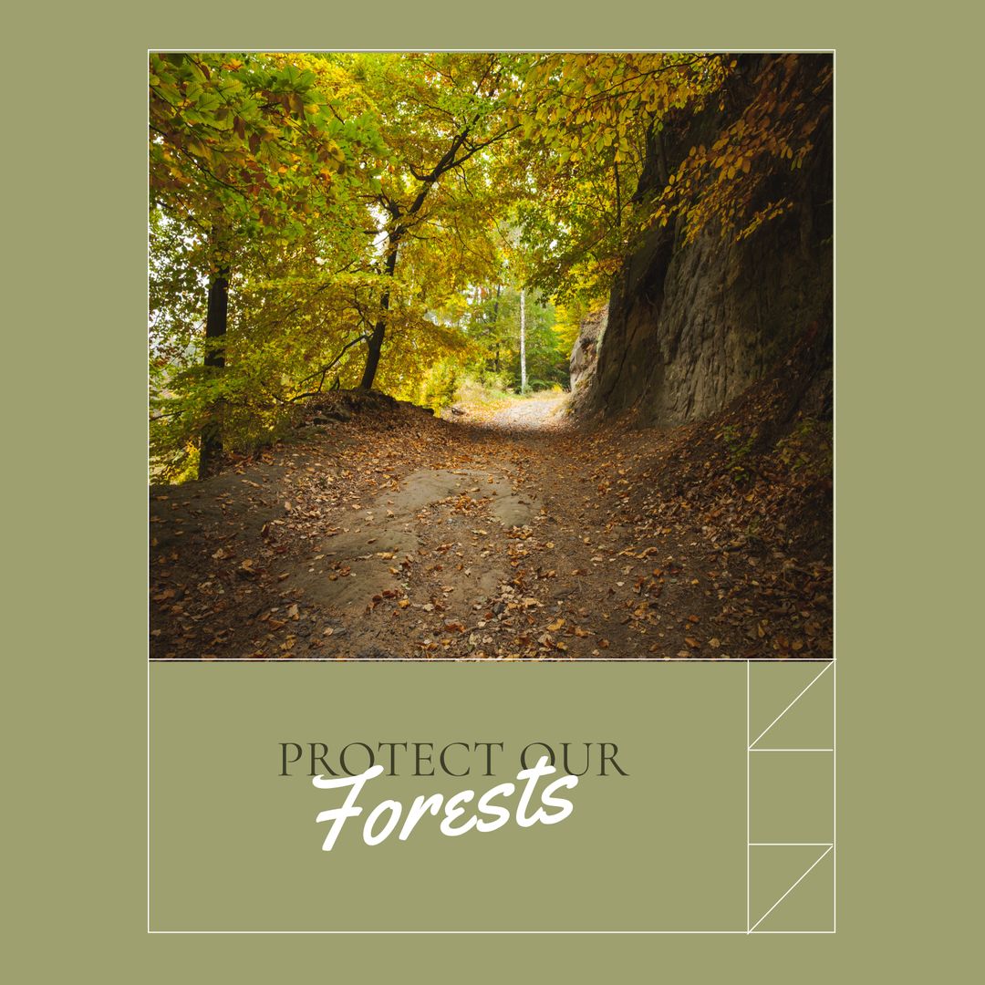 Lush Forest Trail Promoting Environmental Conservation Awareness