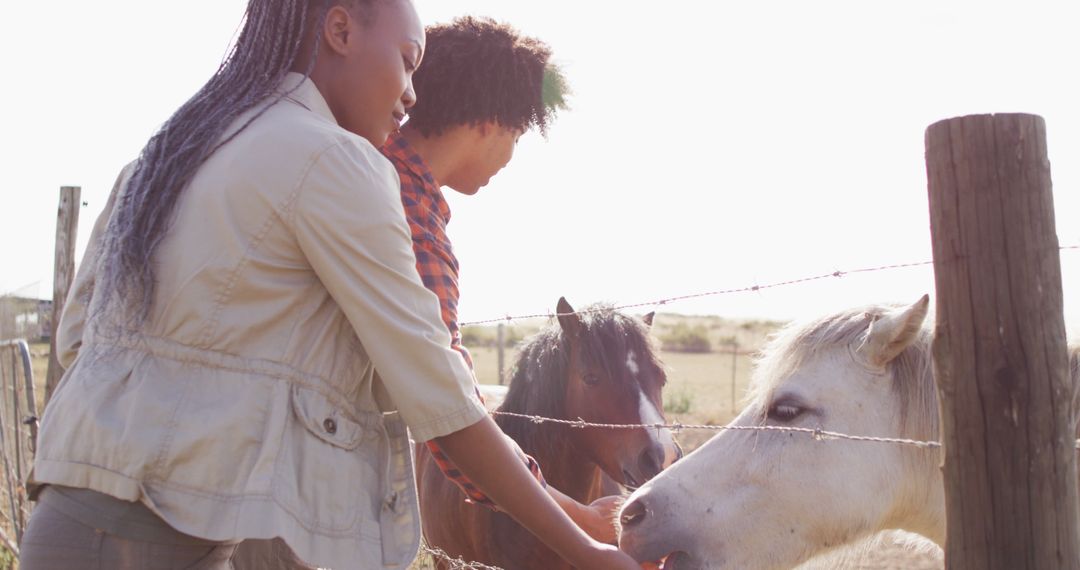 Two African American Women Feeding Horses in Countryside Pasture - Free Images, Stock Photos and Pictures on Pikwizard.com