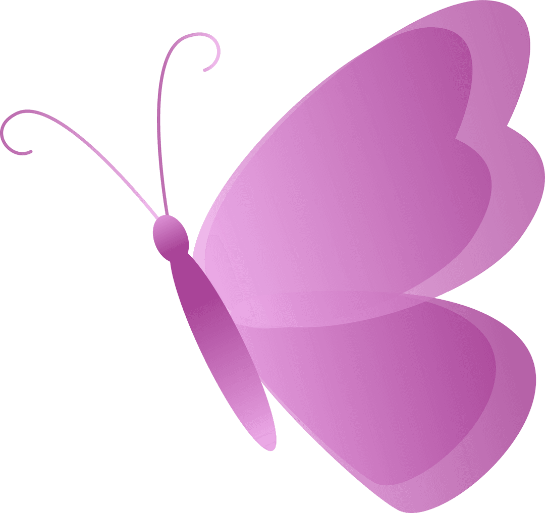 Elegant Stylized Pink Butterfly with Transparent Background