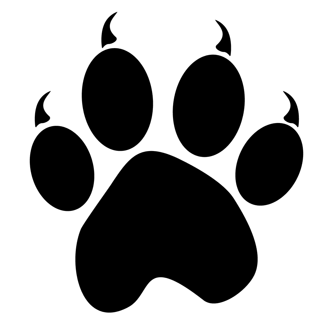 Wild Animal Paw Print on Transparent Background