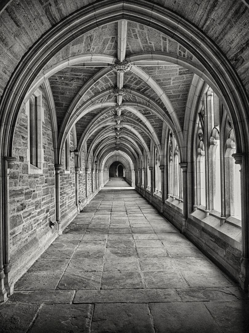 Black and White Gothic Cloister with Arched Ceilings and Stone Pillars - Free Images, Stock Photos and Pictures on Pikwizard.com