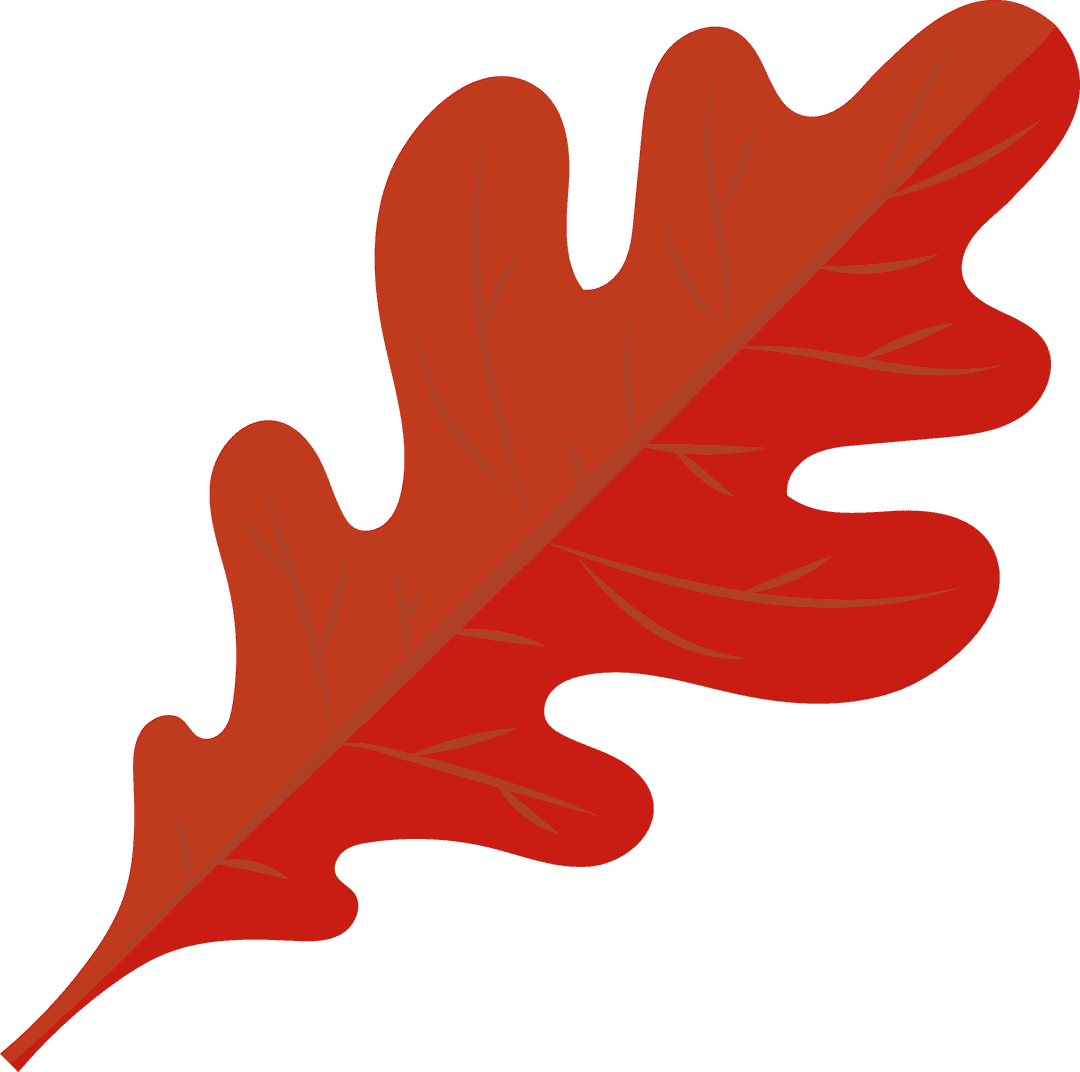 Vector Red Oak Leaf Floating on Transparent Background