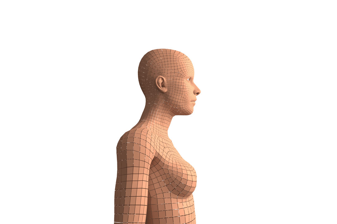 Transparent Silhouette of Digital Woman's High Section