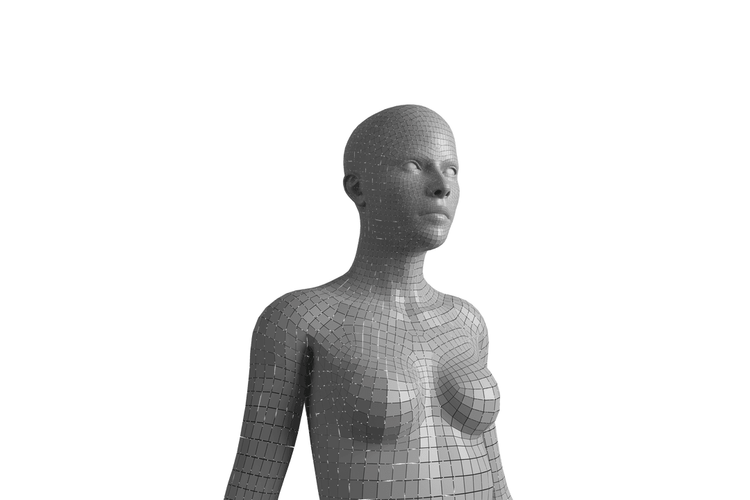 Transparent Wireframe Woman Silhouette with 3D Digital Grid Effect