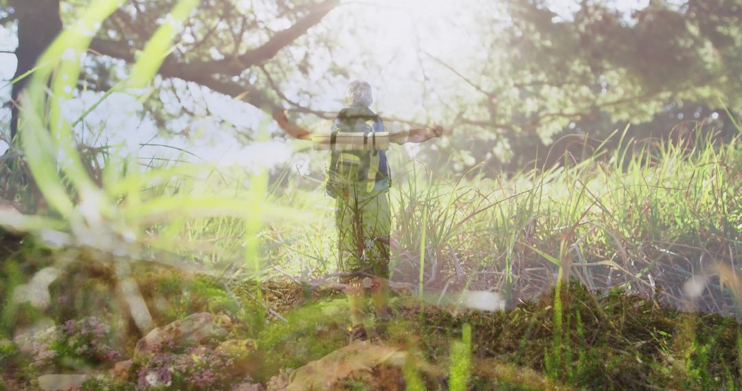 Hiker Immersed in Forest Wilderness Full of Life