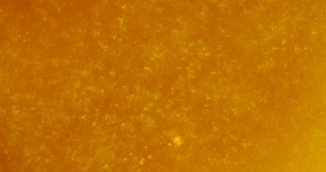 Close-Up of Beer with Moving Bubbles in Golden Hue