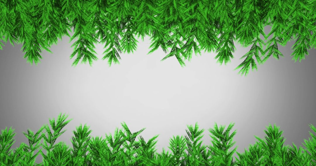 Green Pine Branches Frame on Grey Background for Festive Season