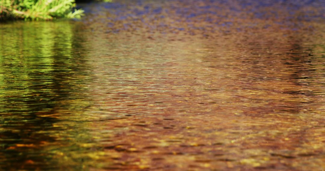 Tranquil Lake Water Surface Reflecting Colorful Nature - Free Images, Stock Photos and Pictures on Pikwizard.com