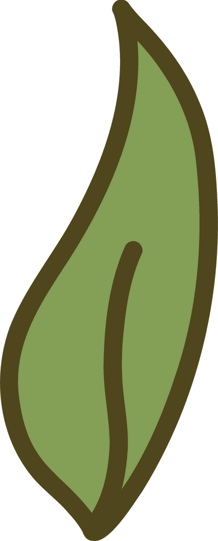 Stylized Green Leaf Icon with Brown Outline on Transparent Background