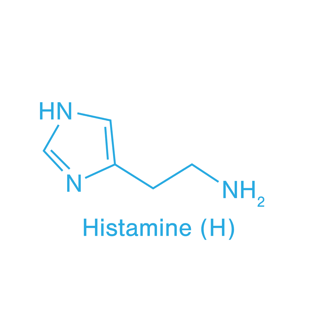 Transparent Chemical Structure of Histamine Molecule Diagram