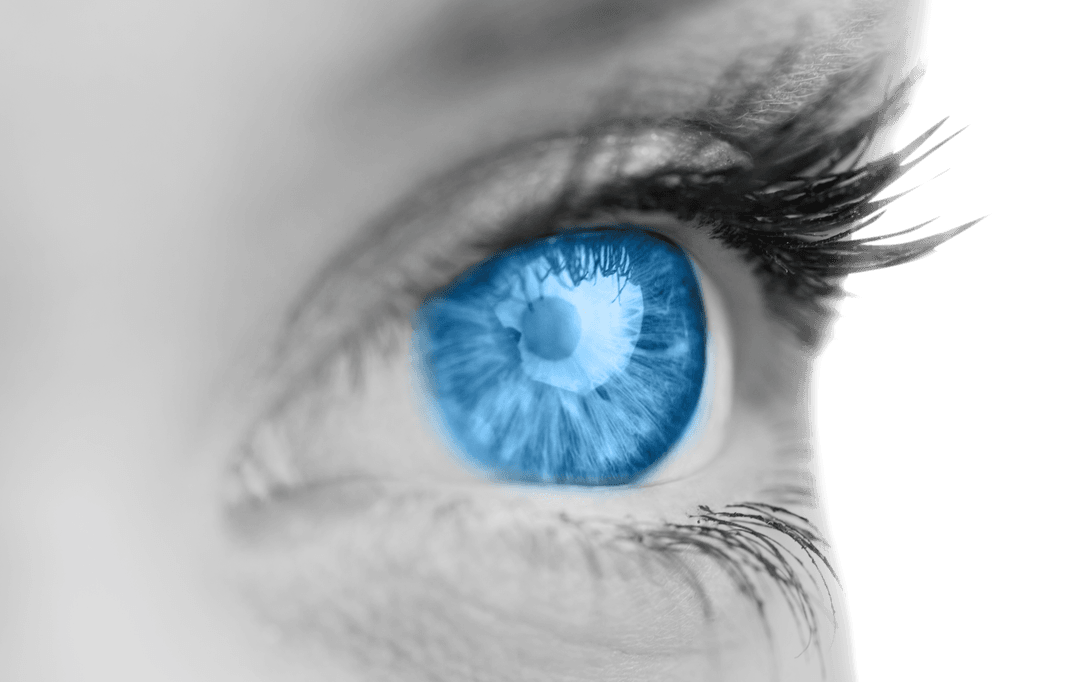Close-Up View of Blue Eye on Transparent Background