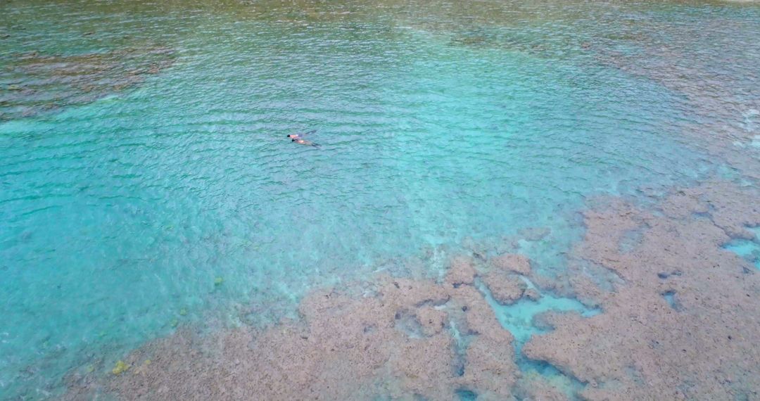 Person Snorkeling in Crystal Clear Tropical Waters - Free Images, Stock Photos and Pictures on Pikwizard.com