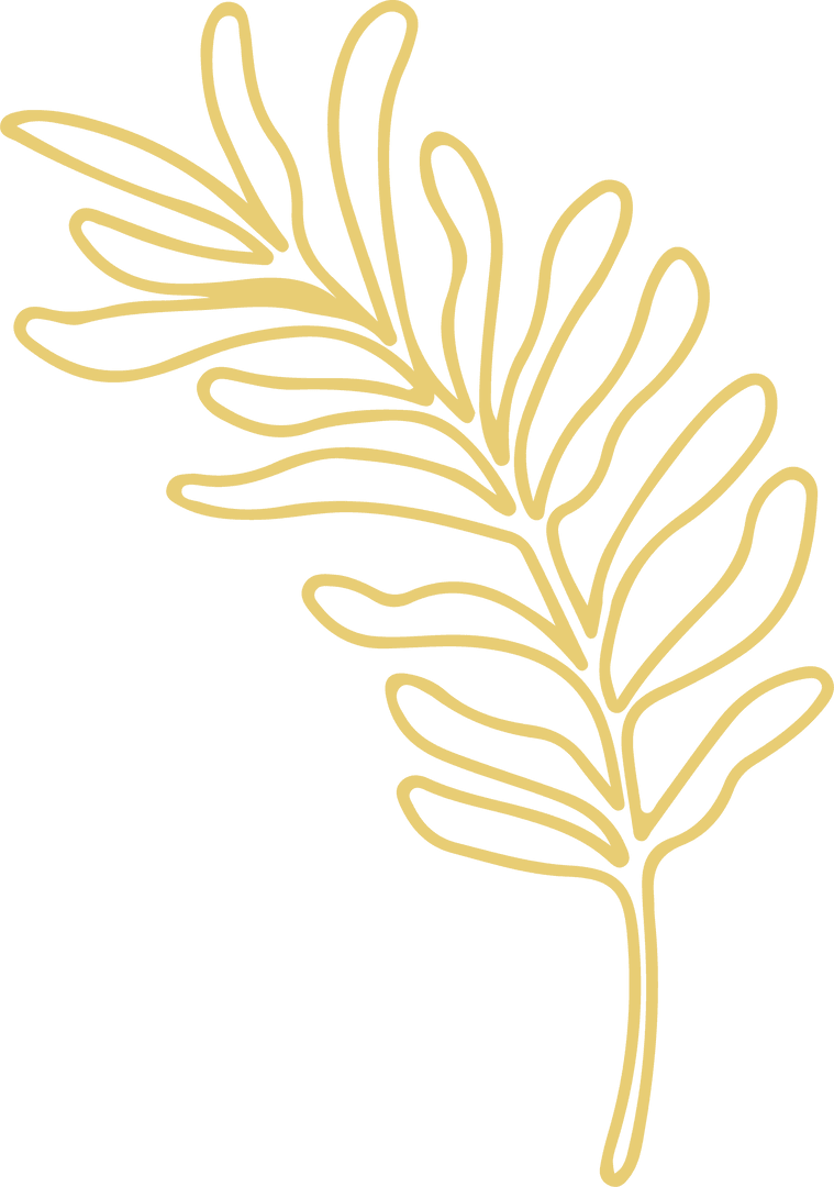 Golden Botanical Frond on Transparent Background in Line Art Style