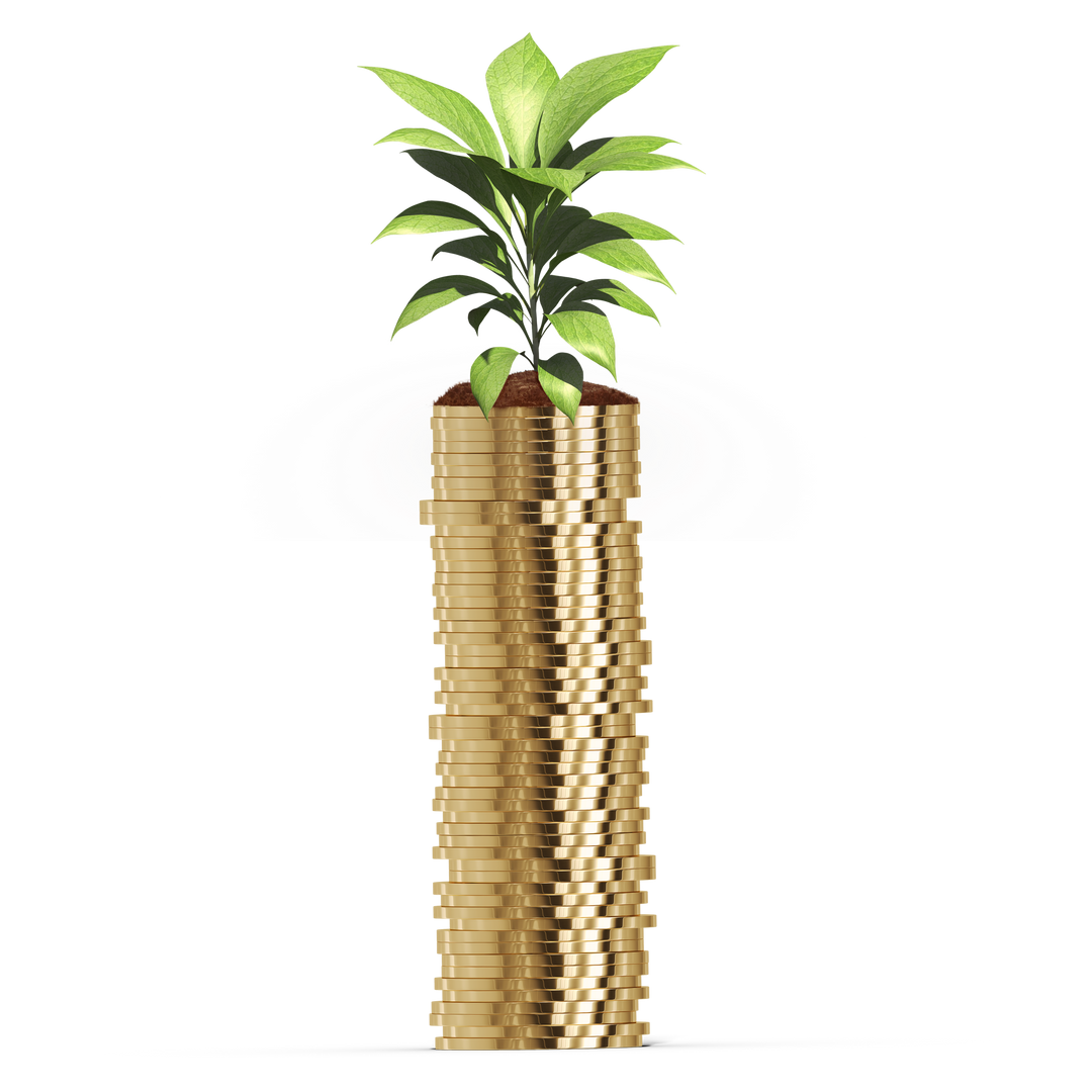 Coins with Plant Grows on Top Illustration on Transparent Background - Download Free Stock Images Pikwizard.com