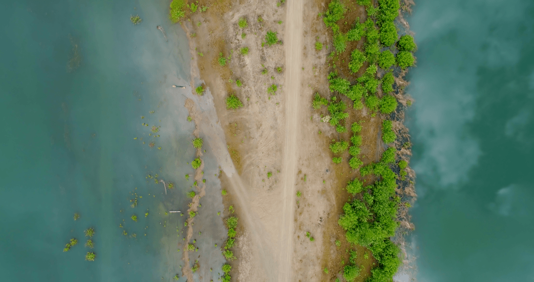 Aerial Transparent View of Lake and Lush Trees