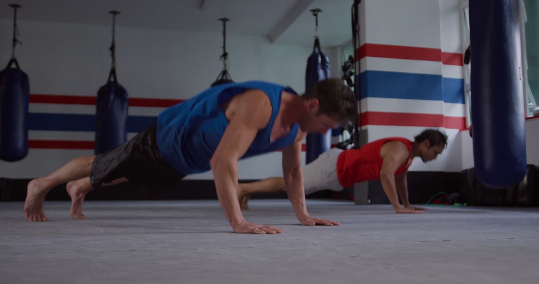 Men Doing Push-ups in Boxing Gym - Free Images, Stock Photos and Pictures on Pikwizard.com