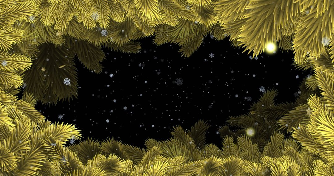 Pine Branches Framing Night Sky with Snowflakes Falling