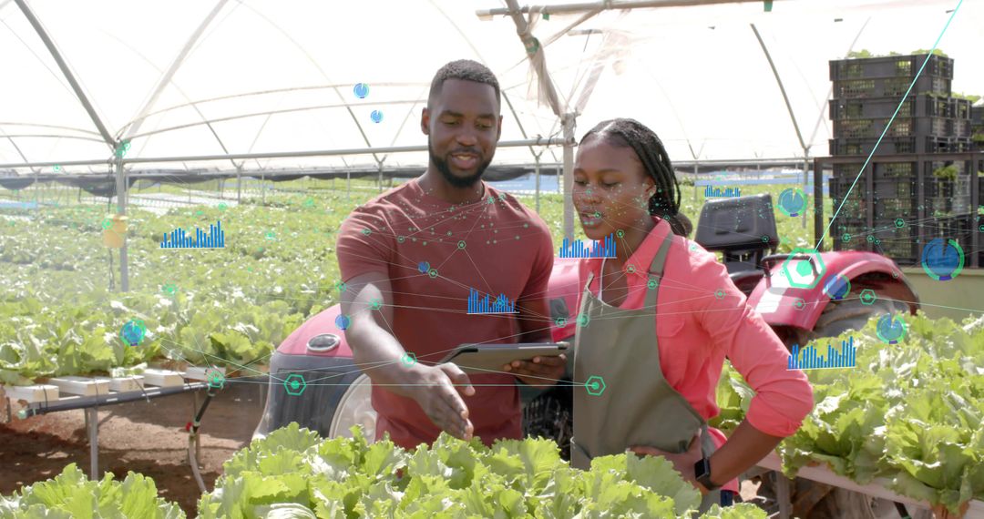 Innovative Team Utilizing Digital Technology in Sustainable Farming