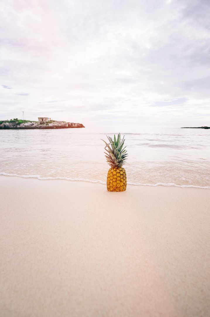 Pineapple Fruit on Seashore during Daytime - Free Images, Stock Photos and Pictures on Pikwizard.com