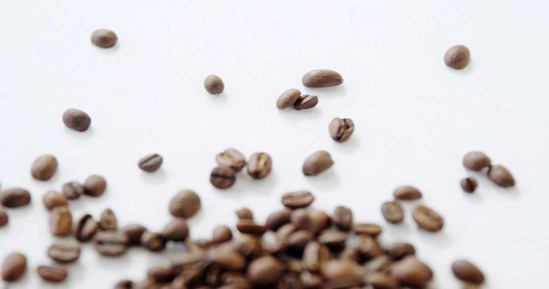 Scattered Coffee Beans on White Background - Free Images, Stock Photos and Pictures on Pikwizard.com