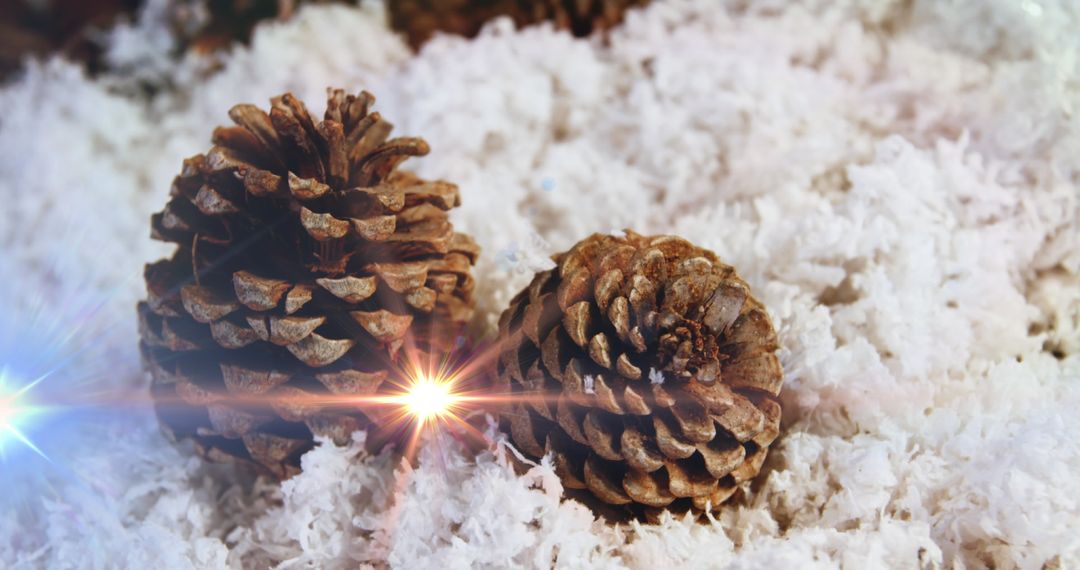 Pine Cones on Sparkling Snowy Backdrop with Festive Lights