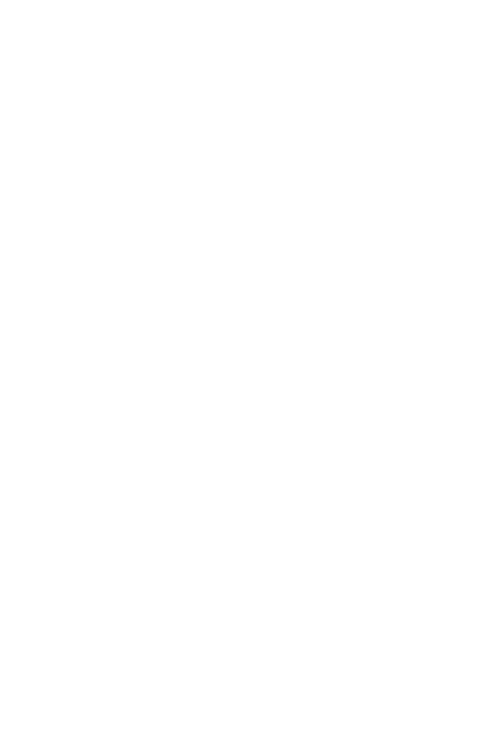 Silhouette of Woman Cheering with Hands Raised Transparent Background - Download Free Stock Images Pikwizard.com