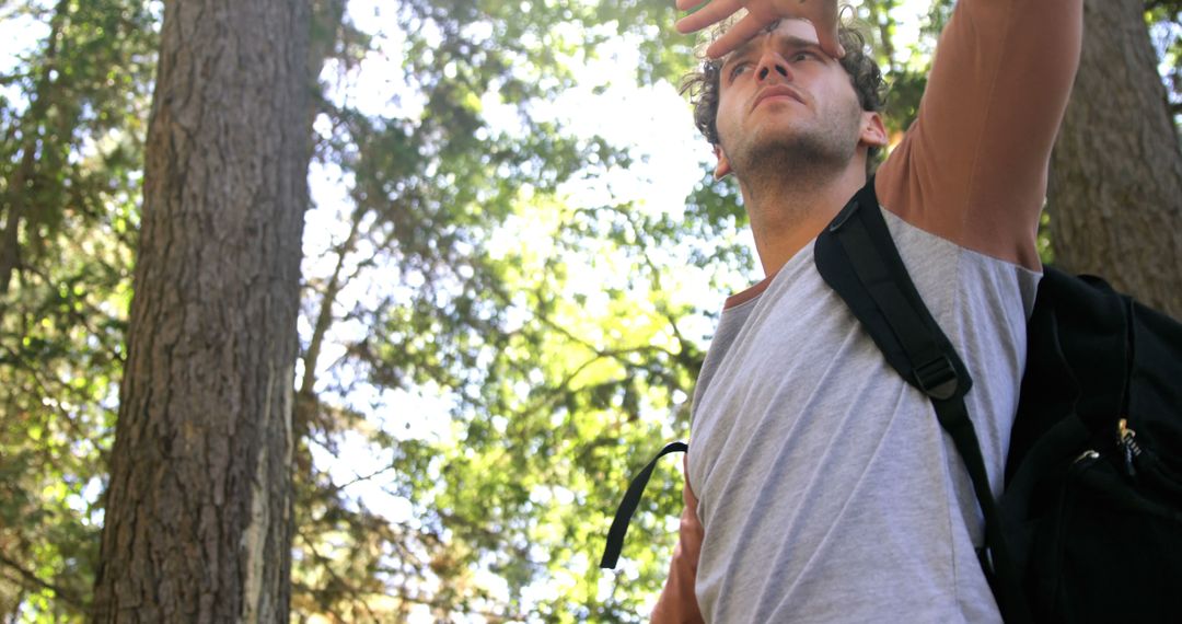 Hiker Taking in Sunshine in Forest - Free Images, Stock Photos and Pictures on Pikwizard.com