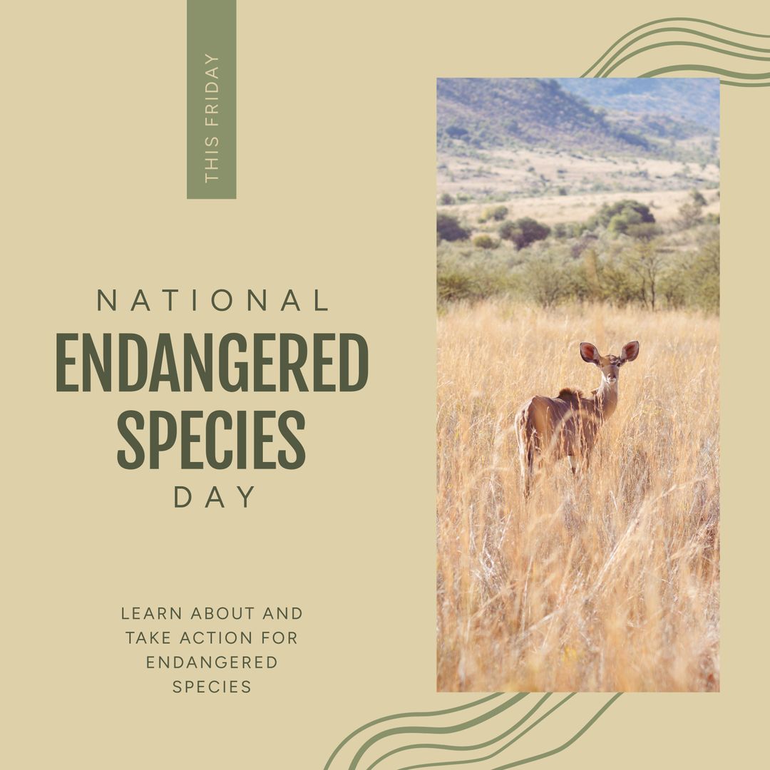 National Endangered Species Day Awareness Poster with Deer Image - Download Free Stock Templates Pikwizard.com