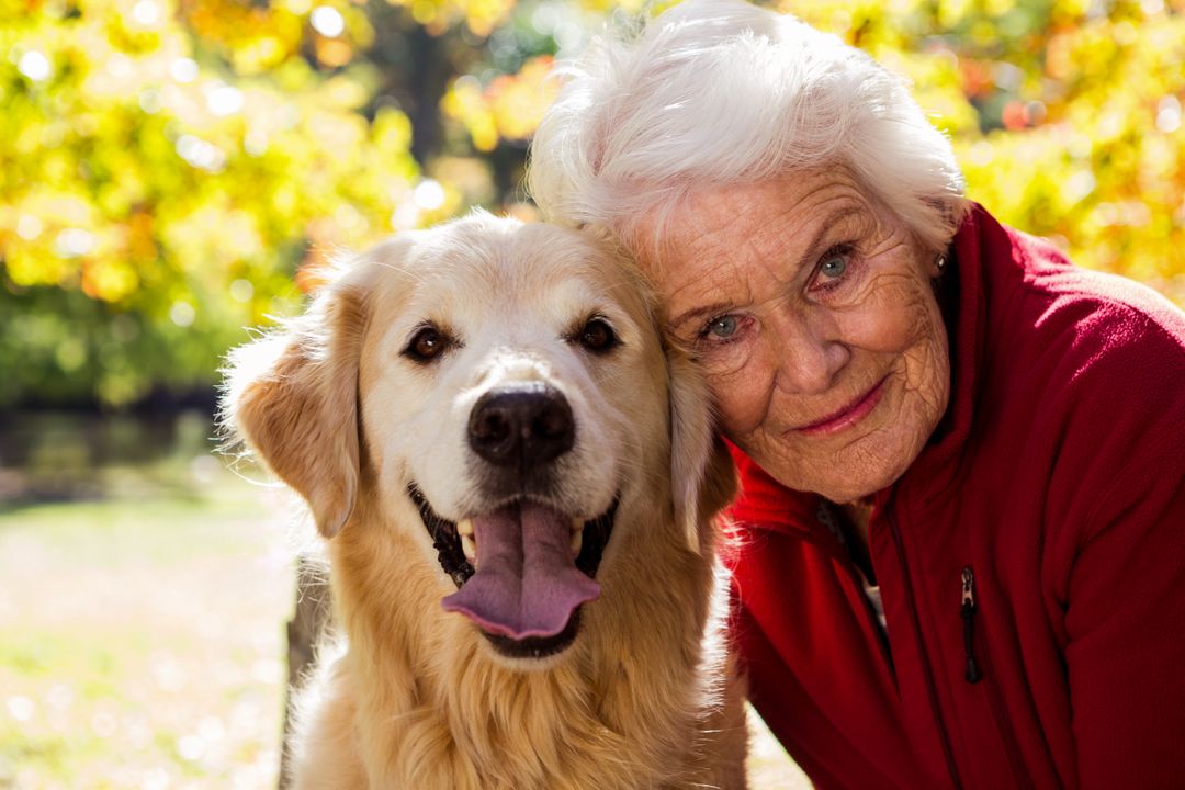 Elderly Woman Enjoying Time with Golden Retriever in Park - Free Images, Stock Photos and Pictures on Pikwizard.com