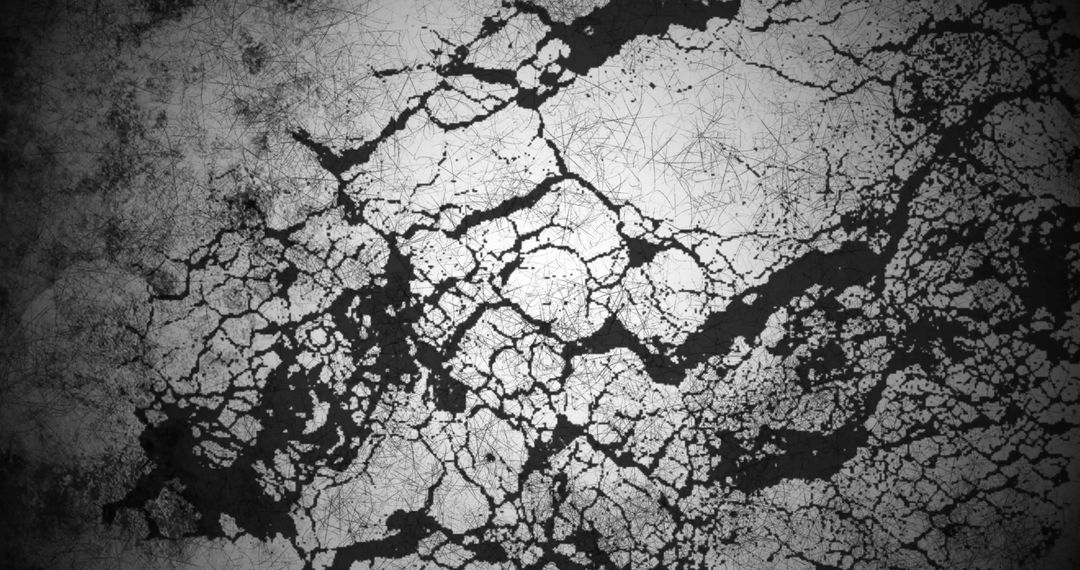 Abstract Cracked Grunge Texture with Contrasting Black Lines